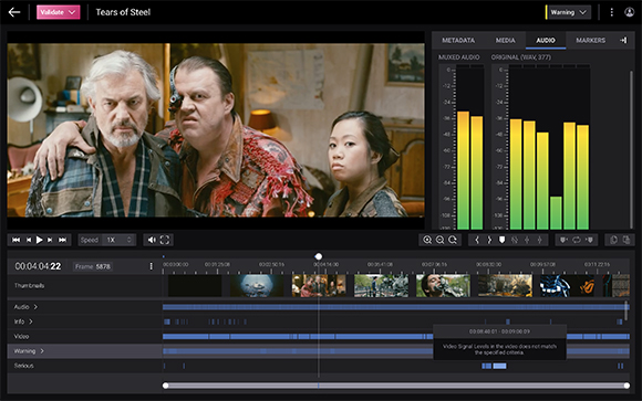 Video editing software interface displaying a film scene and audio waveform levels.