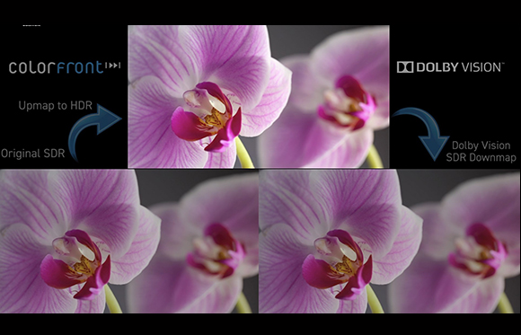 Flowchart showing an orchid image being upmapped from original SDR to HDR via Dolby Vision.
