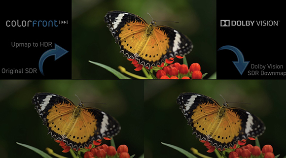 A split comparison showing a butterfly in original SDR versus a Dolby Vision SDR downmap.