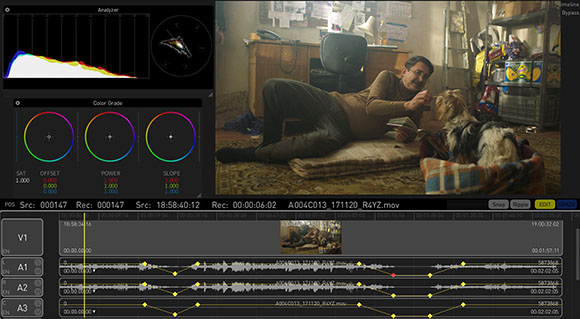 Video editing software interface displaying a man lying on a rug next to a dog in a cluttered room.