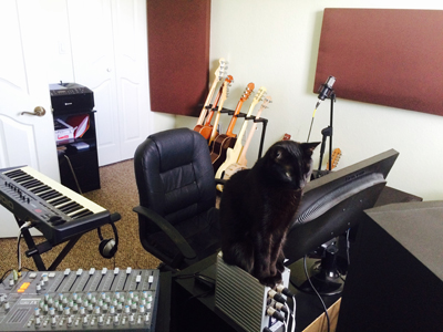 A black cat sits on a desk next to a computer monitor in a room filled with musical instruments.