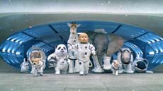 Plush animals and a doll wearing white astronaut suits standing before a large blue curved structure.