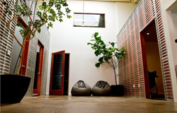 Indoor courtyard with white walls, potted trees, and two dark beanbag chairs on a concrete floor.