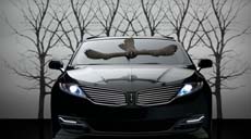 A black car parked in front of leafless trees with a bird silhouette appearing on the windshield.