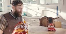 A bearded man and a goat both look down at bags of Doritos on a kitchen counter.