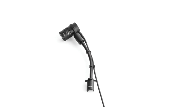 A black flexible gooseneck desk lamp with a cylindrical head and a weighted base on a white background.