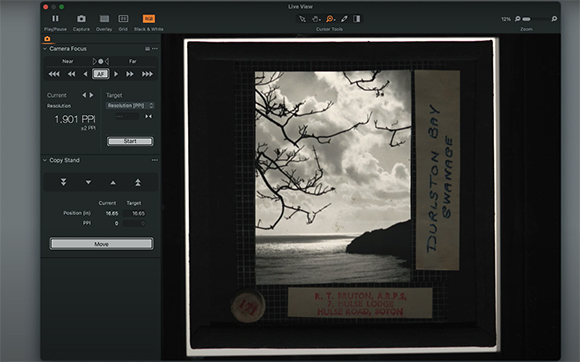 Software interface showing a scanned black and white photo of tree branches and a cloudy sky.