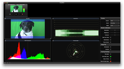 Video editing software interface showing a dog on a green screen, waveform, RGB histogram, and vectorscope.