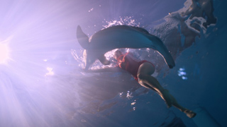 A person in a red swimsuit swims underwater alongside a dolphin in bright, sunlit blue water.