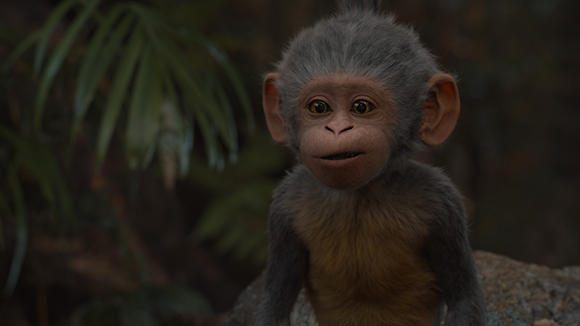A small, grey and tan monkey with large ears looking directly at the camera in a forest.