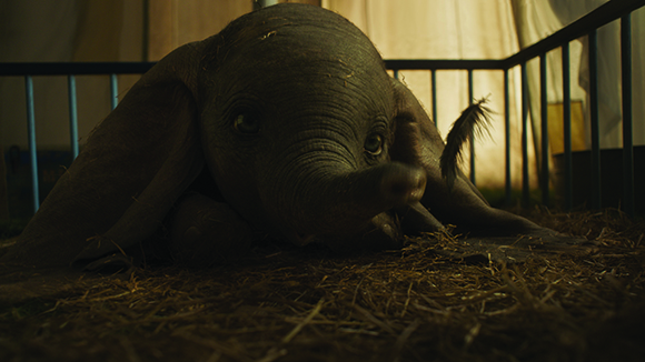 A small baby elephant lies on straw inside a metal-railed enclosure under dim lighting.