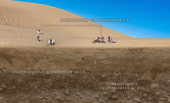 Diagram showing people placing overground, underground, and hydrophone microphones in a desert.
