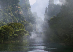 A calm river flows through a deep canyon filled with lush green trees and rising mist.