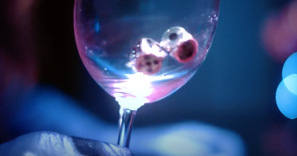 Small, dark, round objects floating in a clear liquid inside a glass under blue lighting.