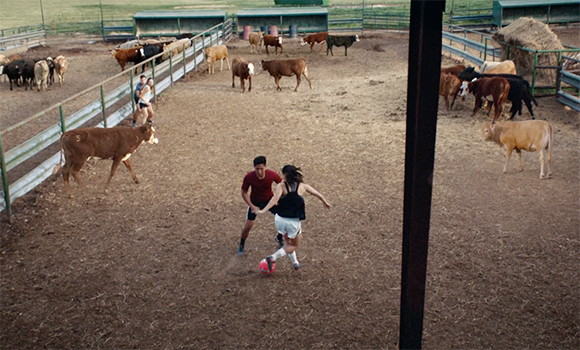Two people play soccer with a pink ball in a dirt enclosure surrounded by grazing cows.