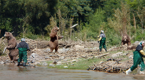 Two brown bears stand on a rocky riverbank near people wearing green waders.