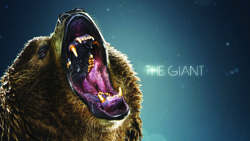 A close-up of a brown bear with its mouth wide open in a roar against a dark blue background.