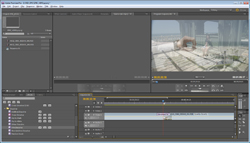 Screenshot of video editing software interface with timeline and preview window showing a person on a beach.
