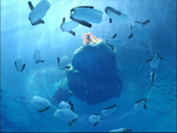 Numerous white plastic bottles floating in a circular pattern in deep blue water.