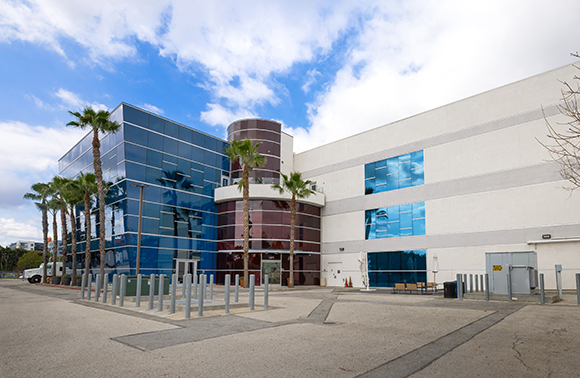 A multi-story office building with blue glass windows and a white facade, flanked by palm trees under a blue sky.