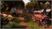 A dirt path winding through a lush, sunlit forest with a wooden cart parked on the side.