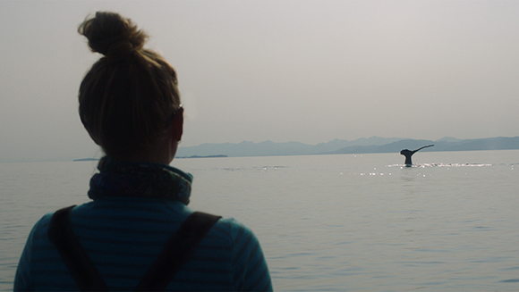 Silhouette of a person with a hair bun looking out at a whale fin breaking the ocean surface.