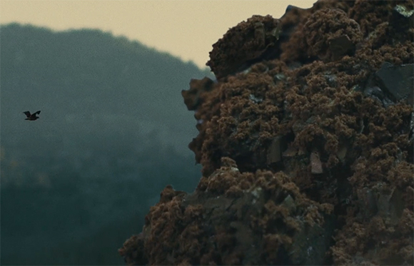 A small dark bird flies in front of a large, textured brown rock and a hazy mountain landscape.