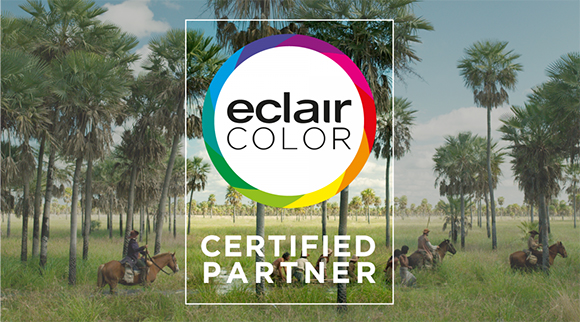 Eclair Color Certified Partner logo overlaid on a field of tall palm trees.