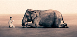 A young child in light clothing sits on the ground facing a large elephant lying down in a vast, empty space.