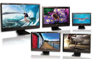 Five black computer monitors of different sizes displaying colorful nature and action photography.