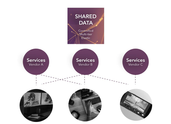 Diagram showing shared data controlled by multiple vendors, with connections to various service representations.
