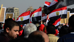 A large crowd of people holding and waving numerous Egyptian flags in an outdoor setting.