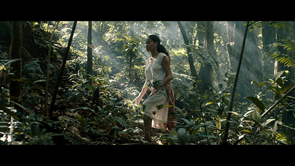 A woman in a white dress walks through a dense, sun-dappled forest.