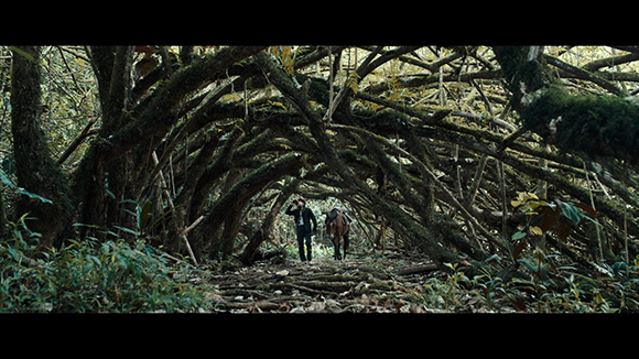 A person walks with a horse through a dark, natural tunnel formed by thick, mossy tree branches.