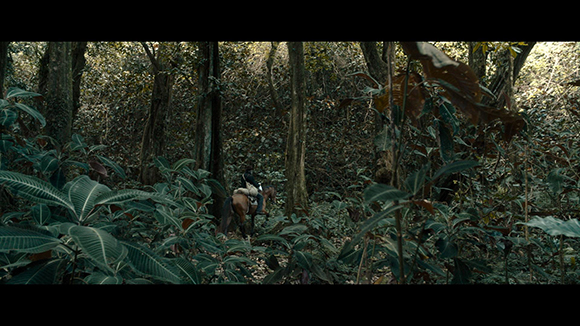 A person on a brown horse moves through a thick, green forest with tall trees and large leaves.