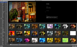 Software interface showing a large photo of a city street next to a list of metadata and a grid of filter previews.