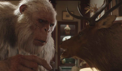 A white-furred monkey looks closely at a mounted deer head in a dimly lit room.