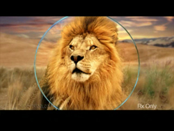 A close-up of a male lion's face centered inside a thin blue circle against a savanna background.