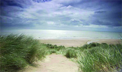 A sandy path through green beach grass leading toward a calm ocean under a cloudy sky.