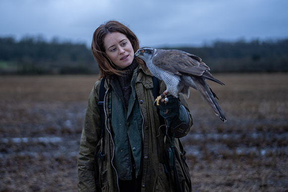 A woman in a green jacket holds a hawk perched on her gloved hand in a field under a cloudy sky.