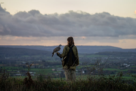 A person seen from behind holding a bird of prey while looking out over a vast, cloudy landscape.