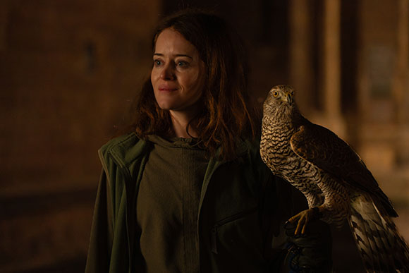 A woman in a green hoodie looks to the side while a hawk perches on her gloved hand.