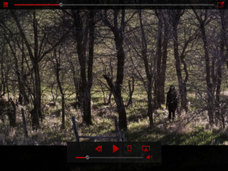 A dark, silhouetted figure walks through a sunlit, wooded area with many thin trees.