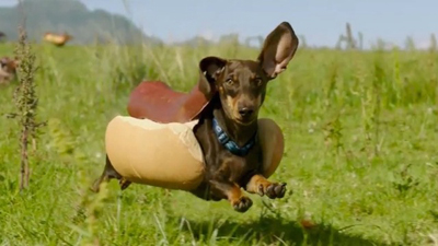 A dachshund wearing a hot dog costume runs through a green grassy field.