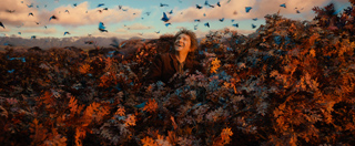 A person laughs while surrounded by orange autumn leaves and a flock of birds flying in a blue sky.