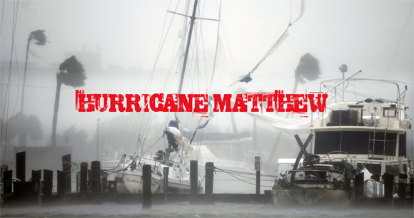 Boats docked in a harbor during a storm with palm trees bending in high winds.