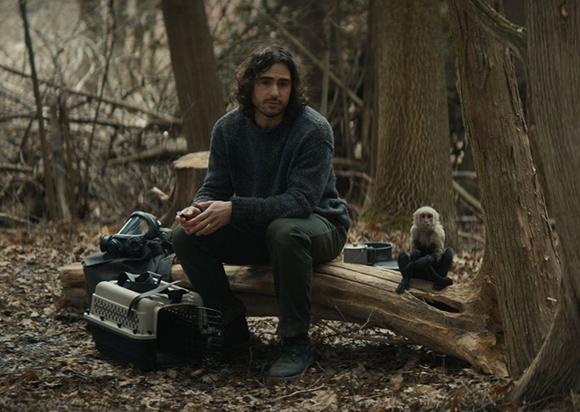 A man in a dark sweater sits on a fallen log in a forest next to a small monkey and a pet carrier.
