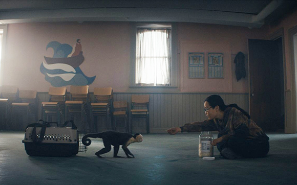 A person crouches on a floor, reaching toward a small monkey near a pet carrier in a dimly lit room.