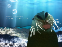 A close-up of a walrus underwater with long white whiskers and sunlight rays in the background.