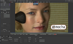 Video editing software interface displaying a woman's face with a black tracking mask on her cheek.